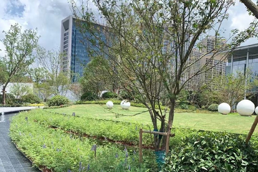 綠化養(yǎng)護(hù)